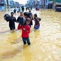 <br />
<b>Warning</b>:  Undefined variable $myimgalt in <b>/www/wwwroot/awdailynews.cn/wp-content/themes/ennews001/single.php</b> on line <b>213</b><br />
