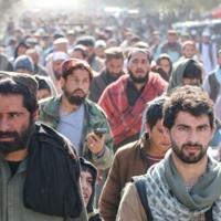 <br />
<b>Warning</b>:  Undefined variable $myimgalt in <b>/www/wwwroot/awdailynews.cn/wp-content/themes/ennews001/single.php</b> on line <b>213</b><br />
