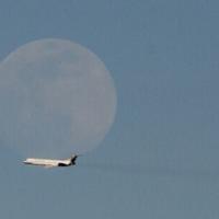 <br />
<b>Warning</b>:  Undefined variable $myimgalt in <b>/www/wwwroot/awdailynews.cn/wp-content/themes/ennews001/single.php</b> on line <b>213</b><br />
