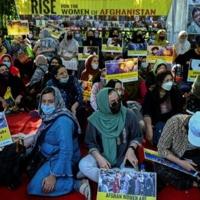 <br />
<b>Warning</b>:  Undefined variable $myimgalt in <b>/www/wwwroot/awdailynews.cn/wp-content/themes/ennews001/single.php</b> on line <b>213</b><br />
