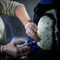 <br />
<b>Warning</b>:  Undefined variable $myimgalt in <b>/www/wwwroot/awdailynews.cn/wp-content/themes/ennews001/single.php</b> on line <b>213</b><br />
