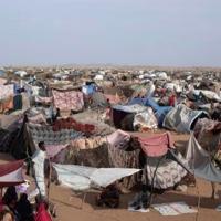 <br />
<b>Warning</b>:  Undefined variable $myimgalt in <b>/www/wwwroot/awdailynews.cn/wp-content/themes/ennews001/single.php</b> on line <b>213</b><br />
