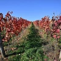 <br />
<b>Warning</b>:  Undefined variable $myimgalt in <b>/www/wwwroot/awdailynews.cn/wp-content/themes/ennews001/single.php</b> on line <b>213</b><br />
