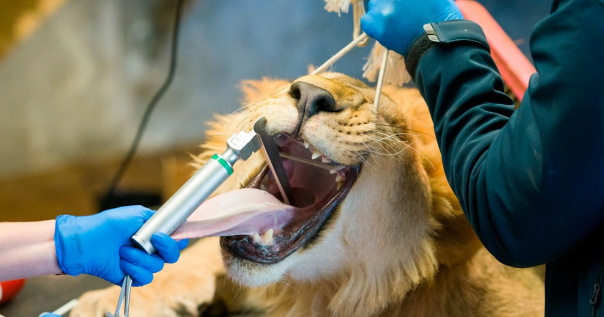 <br />
<b>Warning</b>:  Undefined variable $myimgalt in <b>/www/wwwroot/awdailynews.cn/wp-content/themes/ennews001/single.php</b> on line <b>213</b><br />
