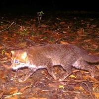 <br />
<b>Warning</b>:  Undefined variable $myimgalt in <b>/www/wwwroot/awdailynews.cn/wp-content/themes/ennews001/single.php</b> on line <b>213</b><br />
