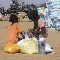 <br />
<b>Warning</b>:  Undefined variable $myimgalt in <b>/www/wwwroot/awdailynews.cn/wp-content/themes/ennews001/single.php</b> on line <b>213</b><br />
