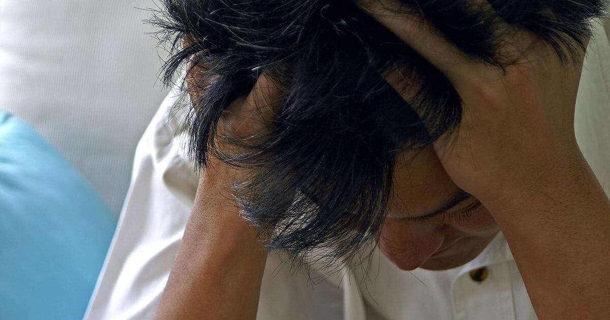 <br />
<b>Warning</b>:  Undefined variable $myimgalt in <b>/www/wwwroot/awdailynews.cn/wp-content/themes/ennews001/single.php</b> on line <b>213</b><br />
