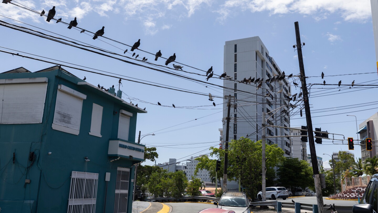 <br />
<b>Warning</b>:  Undefined variable $myimgalt in <b>/www/wwwroot/awdailynews.cn/wp-content/themes/ennews001/single.php</b> on line <b>213</b><br />
