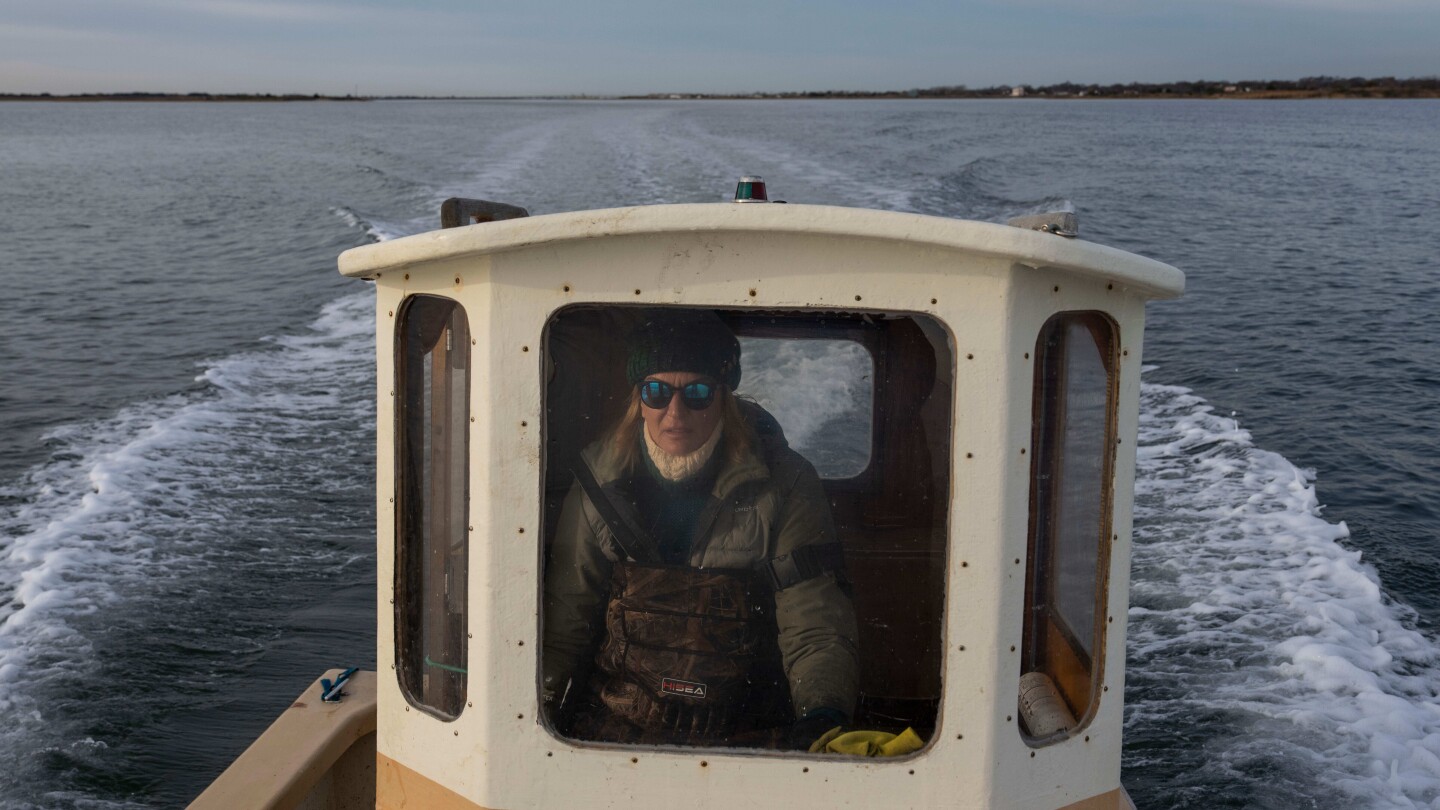 <br />
<b>Warning</b>:  Undefined variable $myimgalt in <b>/www/wwwroot/awdailynews.cn/wp-content/themes/ennews001/single.php</b> on line <b>213</b><br />
