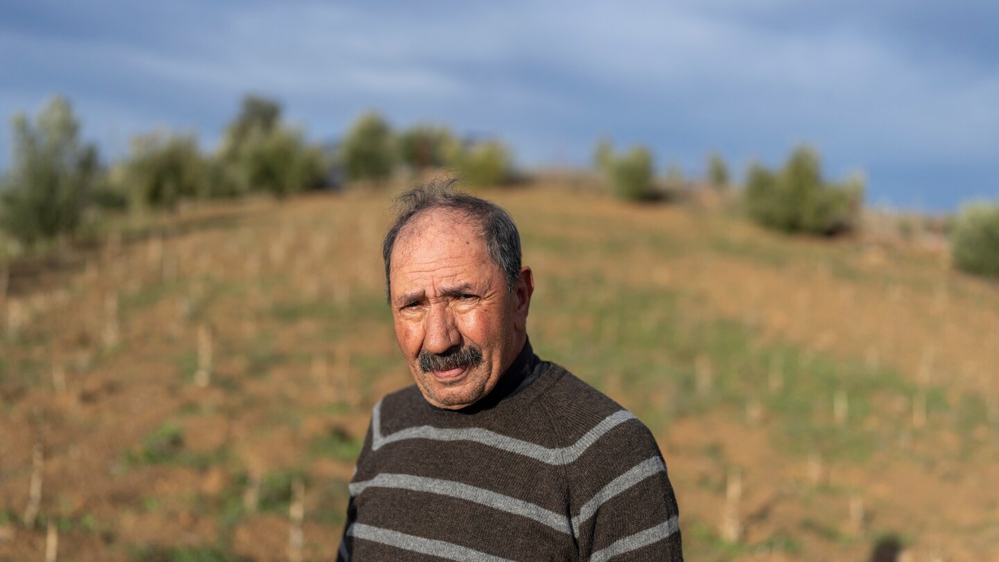 <br />
<b>Warning</b>:  Undefined variable $myimgalt in <b>/www/wwwroot/awdailynews.cn/wp-content/themes/ennews001/single.php</b> on line <b>213</b><br />
