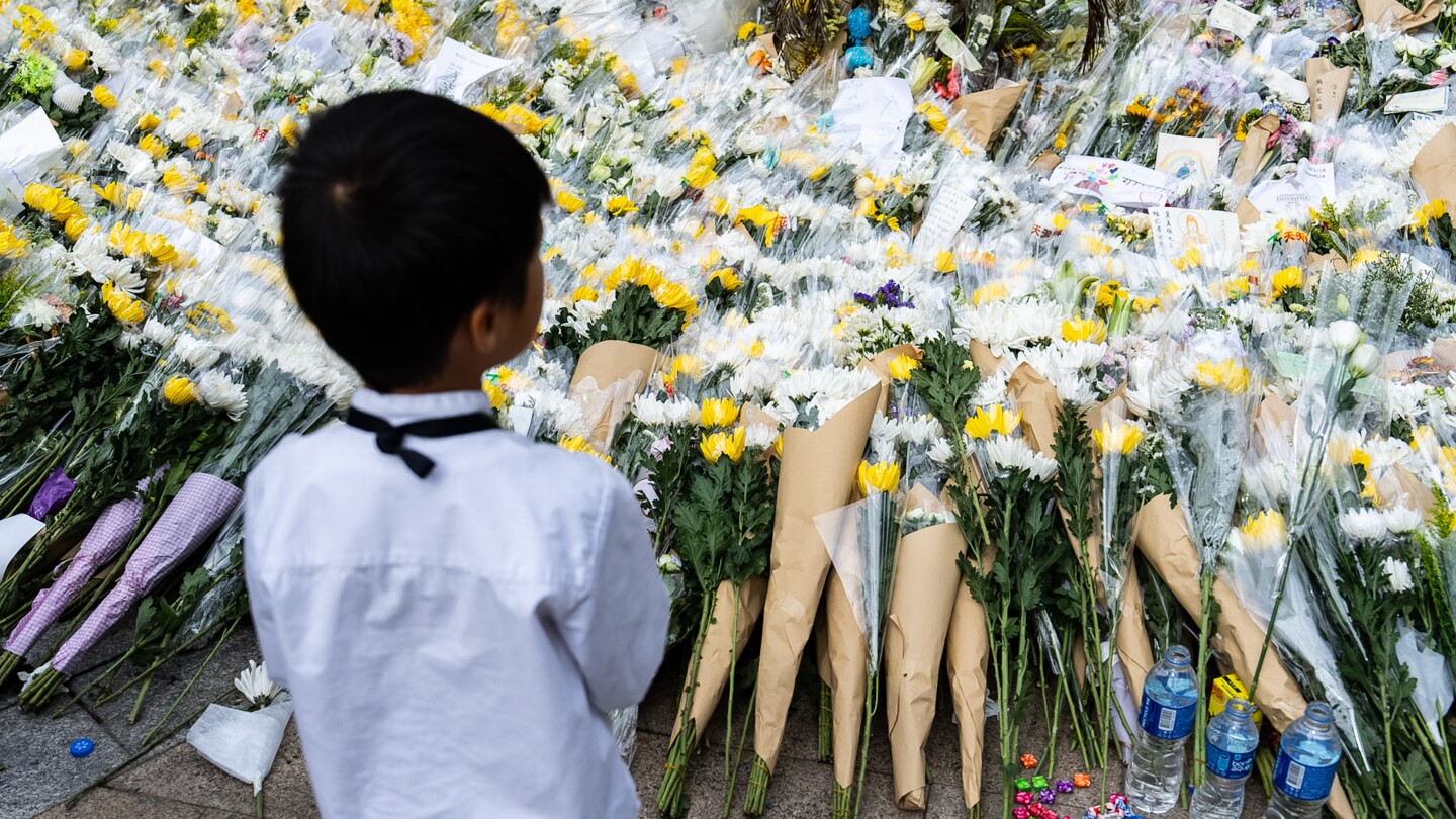 <br />
<b>Warning</b>:  Undefined variable $myimgalt in <b>/www/wwwroot/awdailynews.cn/wp-content/themes/ennews001/single.php</b> on line <b>213</b><br />
