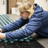 <br />
<b>Warning</b>:  Undefined variable $myimgalt in <b>/www/wwwroot/awdailynews.cn/wp-content/themes/ennews001/single.php</b> on line <b>213</b><br />
