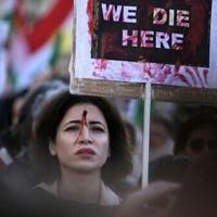 <br />
<b>Warning</b>:  Undefined variable $myimgalt in <b>/www/wwwroot/awdailynews.cn/wp-content/themes/ennews001/single.php</b> on line <b>213</b><br />
