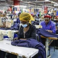 <br />
<b>Warning</b>:  Undefined variable $myimgalt in <b>/www/wwwroot/awdailynews.cn/wp-content/themes/ennews001/single.php</b> on line <b>213</b><br />
