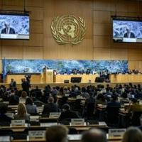 <br />
<b>Warning</b>:  Undefined variable $myimgalt in <b>/www/wwwroot/awdailynews.cn/wp-content/themes/ennews001/single.php</b> on line <b>213</b><br />
